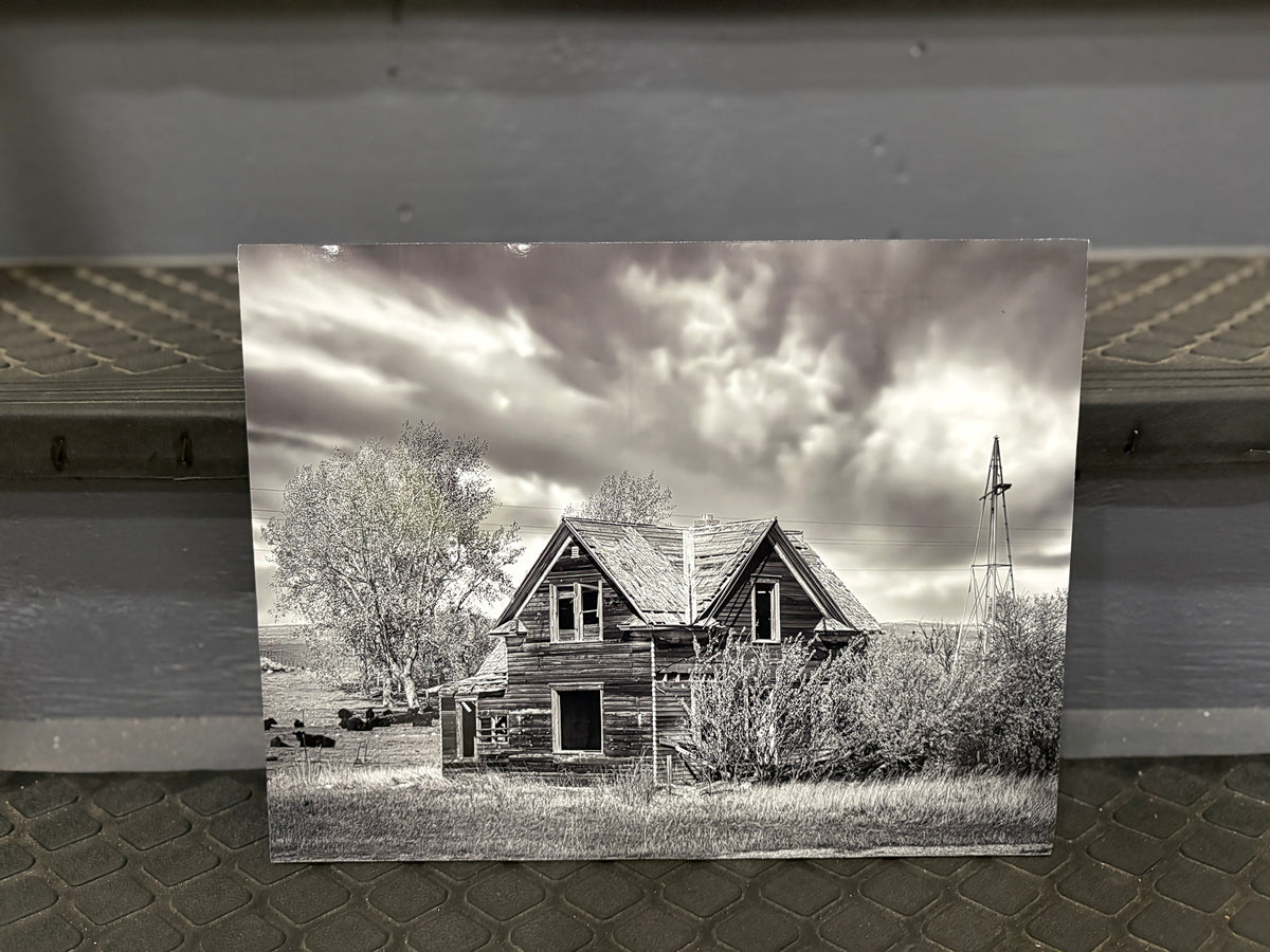 11X13 Image mounted on GatorBoard in Protective sleeve