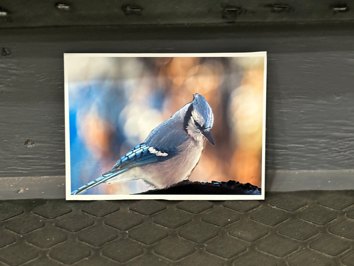 5X7 Photo mounted on GatorBoard