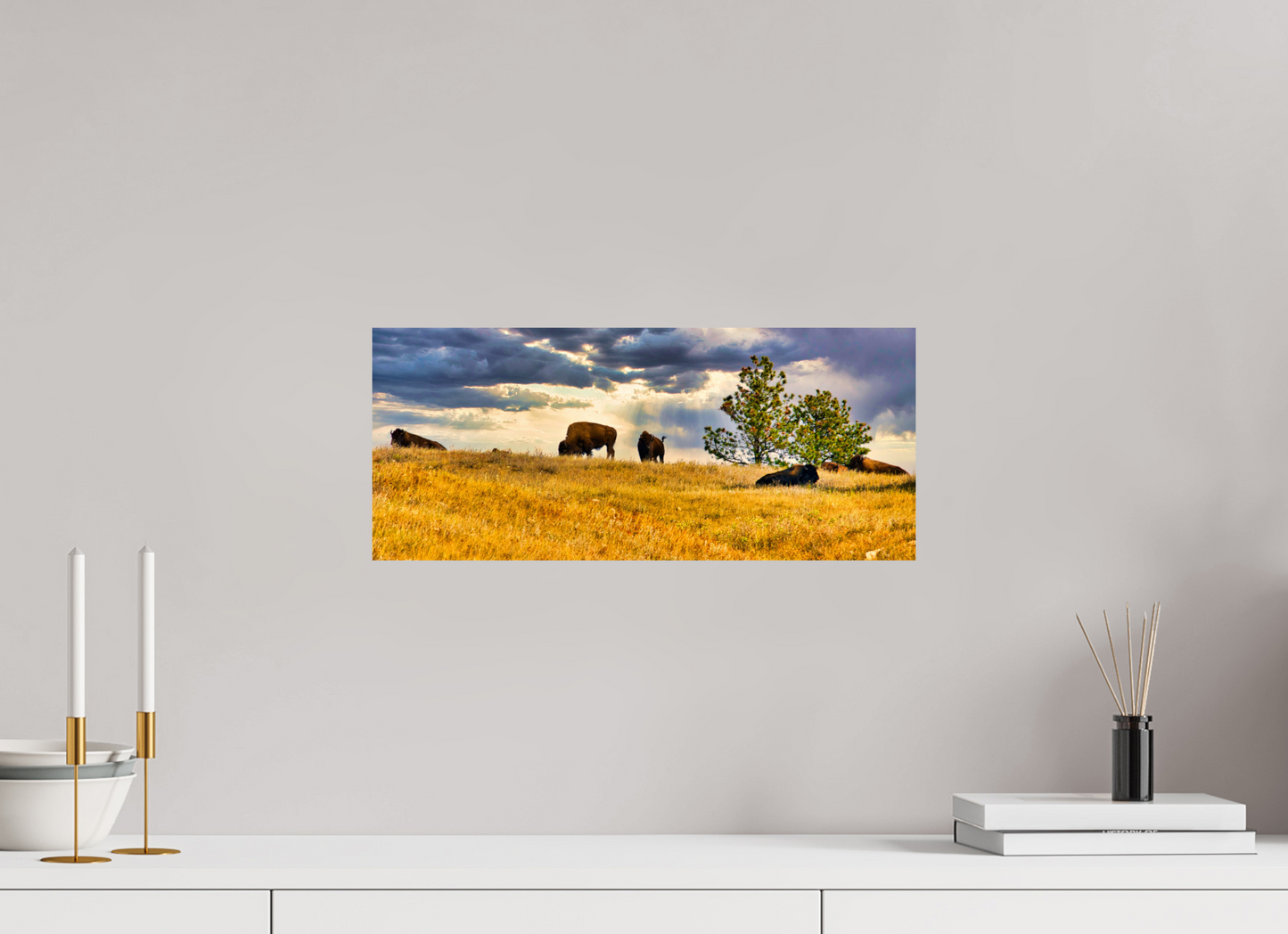 18.7 x 8″, Metal Prints Buffalo of Custer