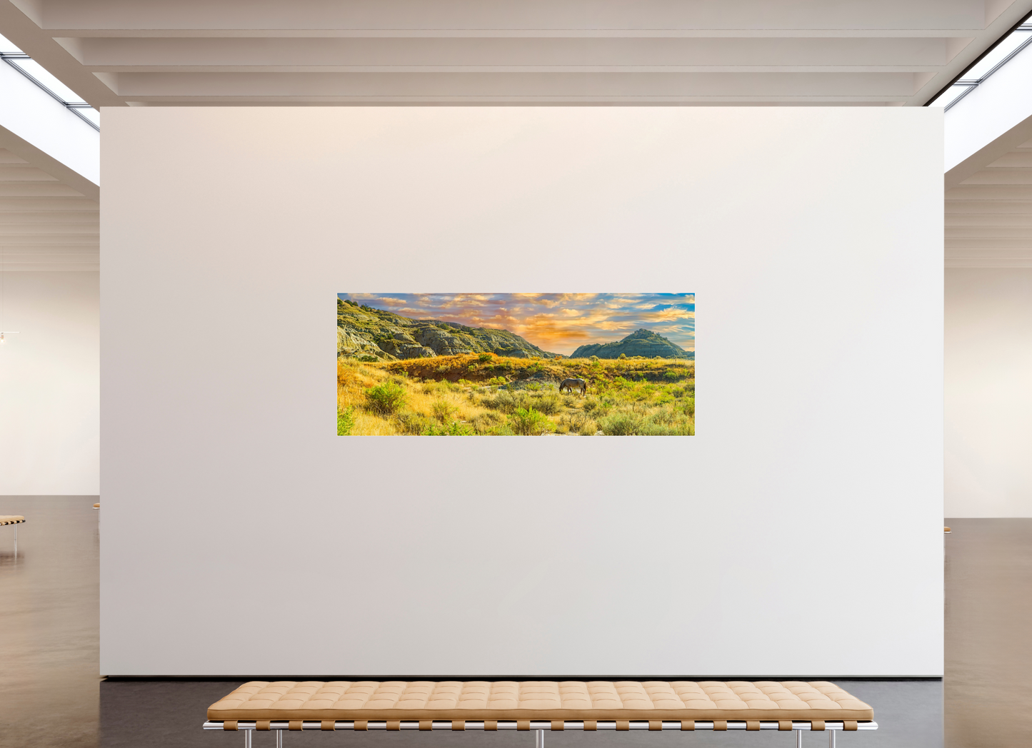 87.5 x 35″, Photo Print Under Acrylic Glass Badlands Horse On acrylic Glass