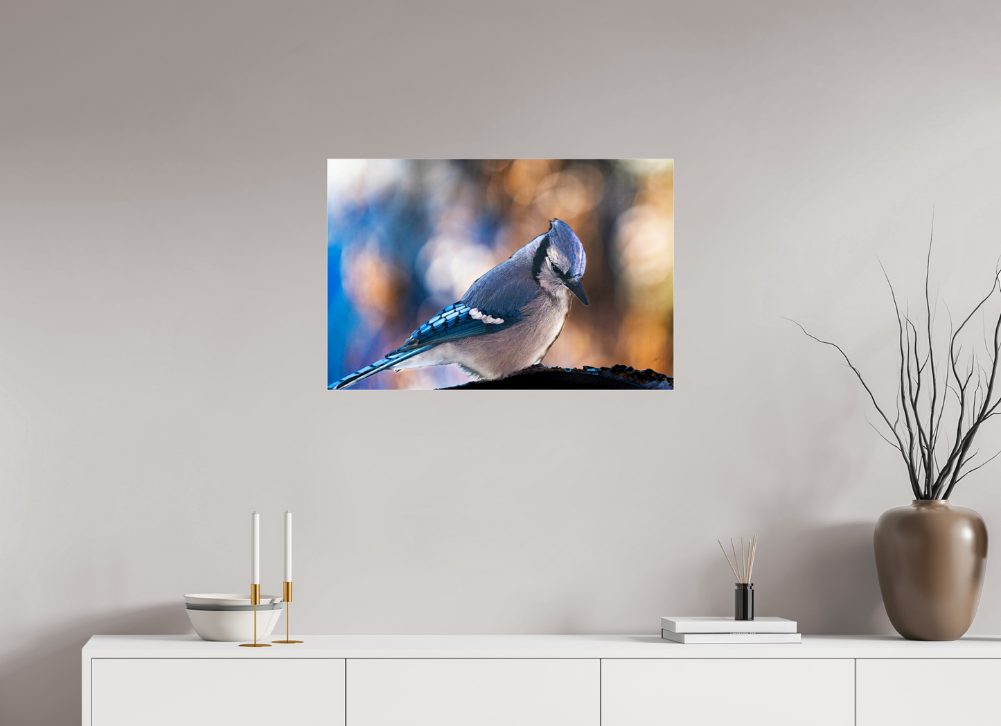 30 x 20″, Photoprint under Acrylic Glass Blue Jay