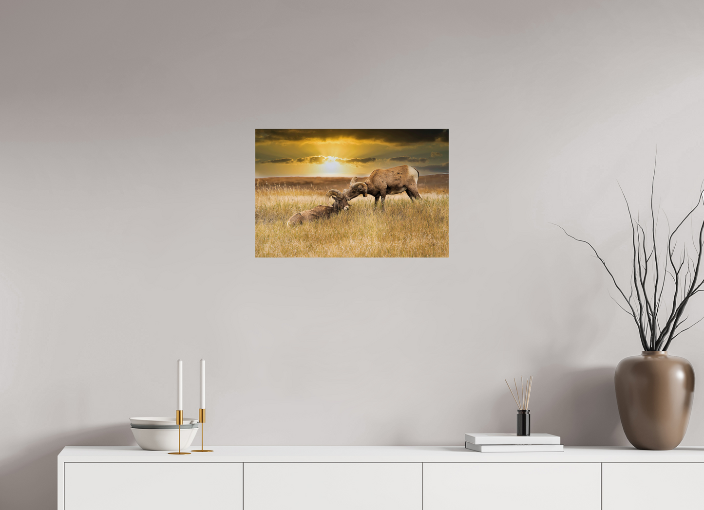 24 x 16″, Photo Print On Fuji Crystal DP II Badlands Sheep Kiss