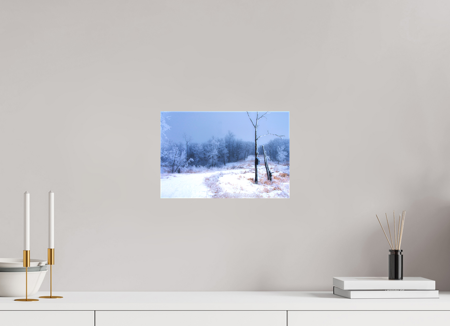 12 x 8″, Stretched Canvas Birds Nest in Winter