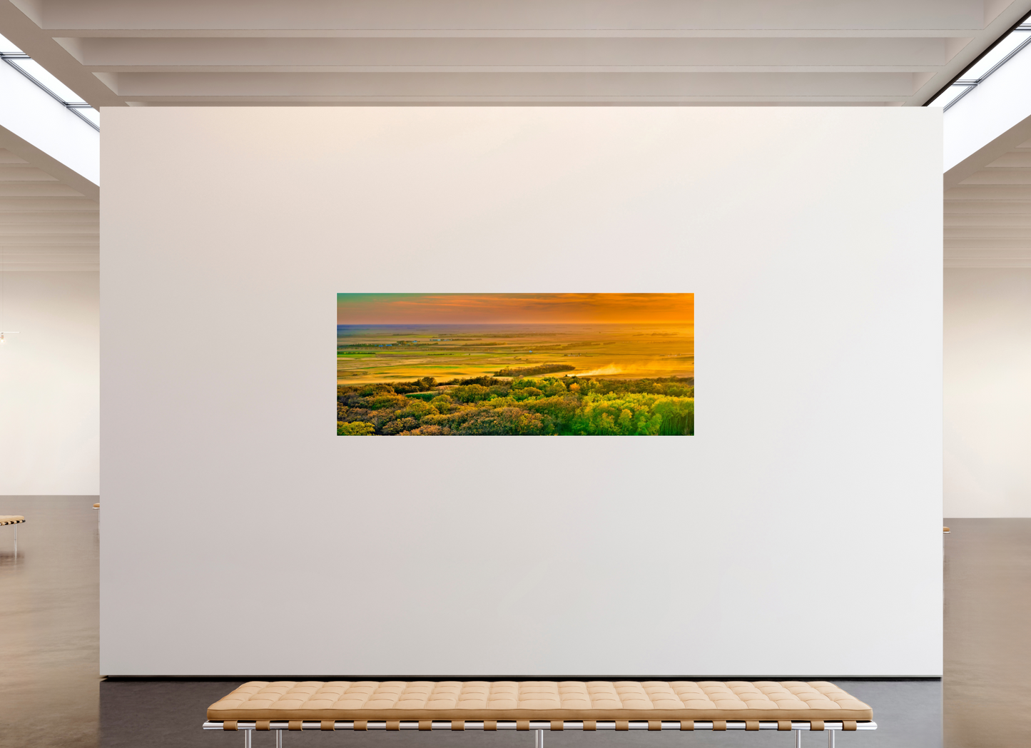 87.5 x 35″, Photo Print Under Acrylic Glass Dakota Harvest Metal Acrylic Glass
