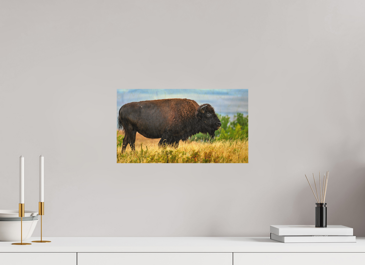 16 x 9″, Wood Print Medora Bison in Rain Metal Acrylic Glass