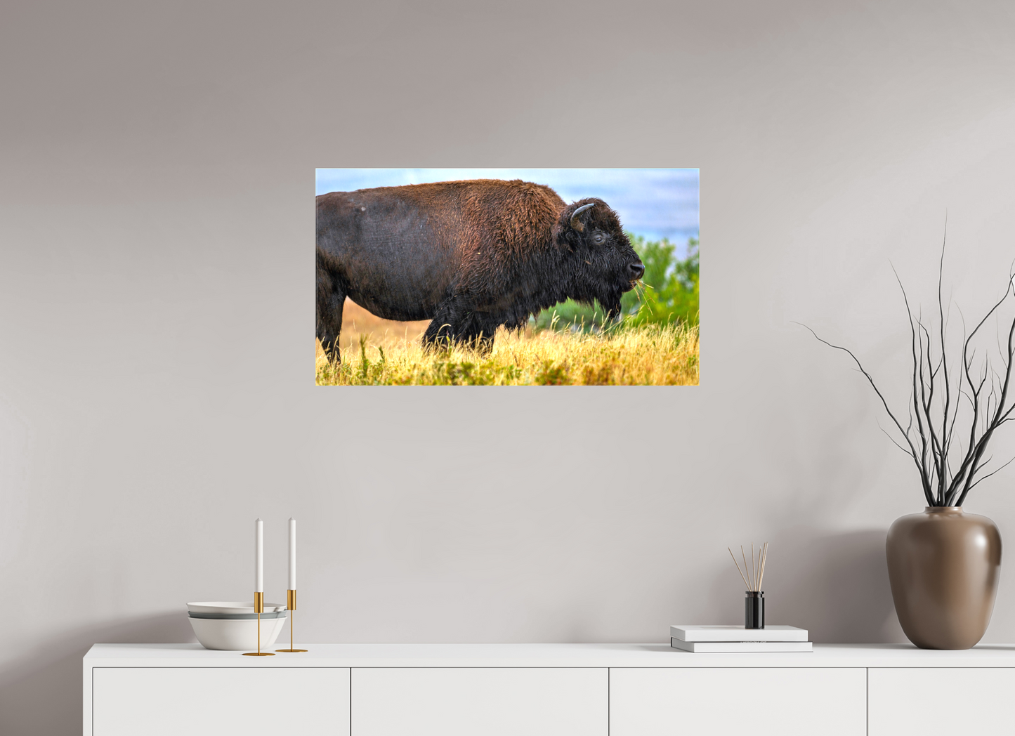 32 x 18″, Stretched Canvas Medora Bison in Rain Metal Acrylic Glass