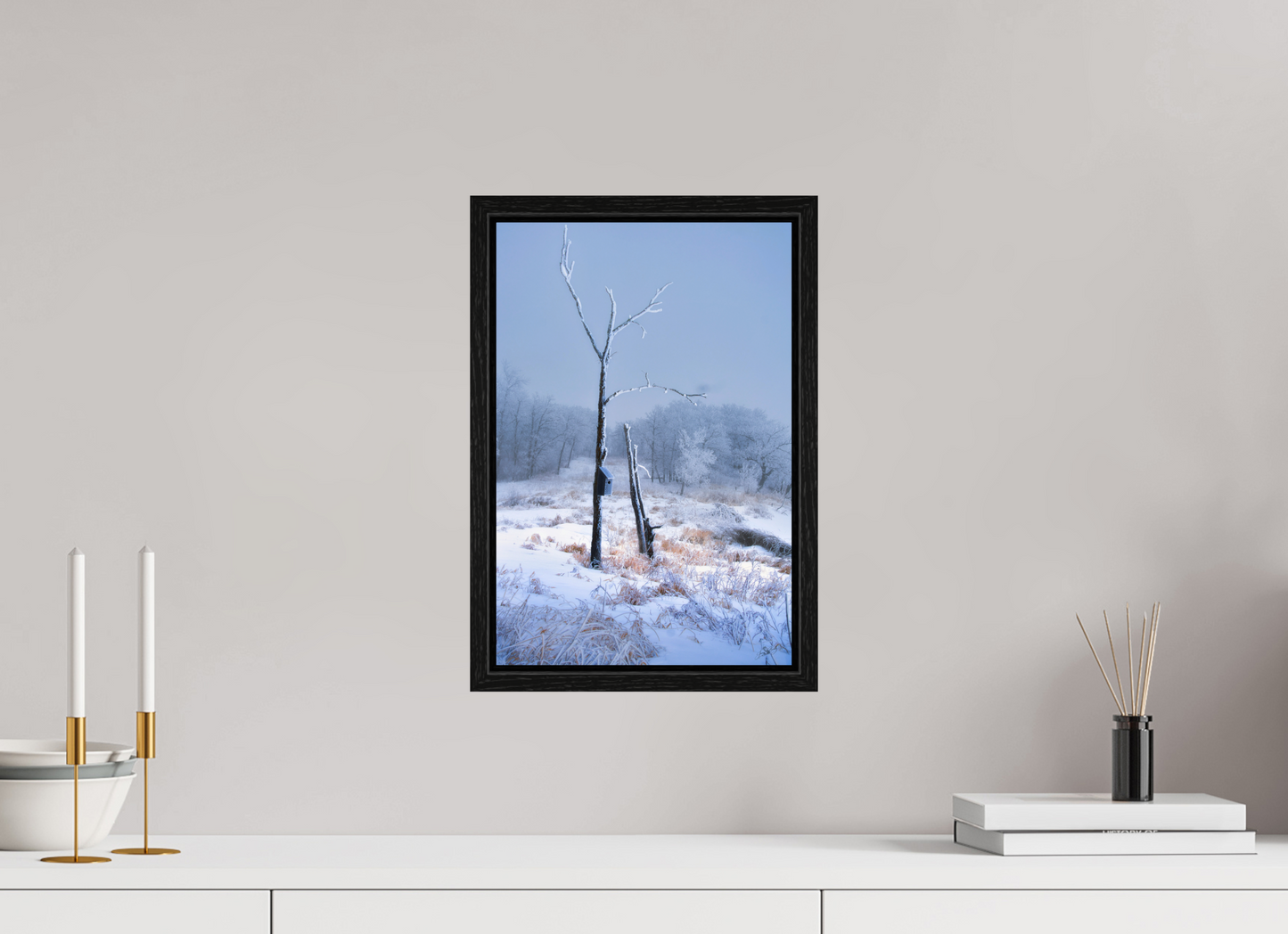 10 x 15″, Floater Frame Birds Nest in Winter 2