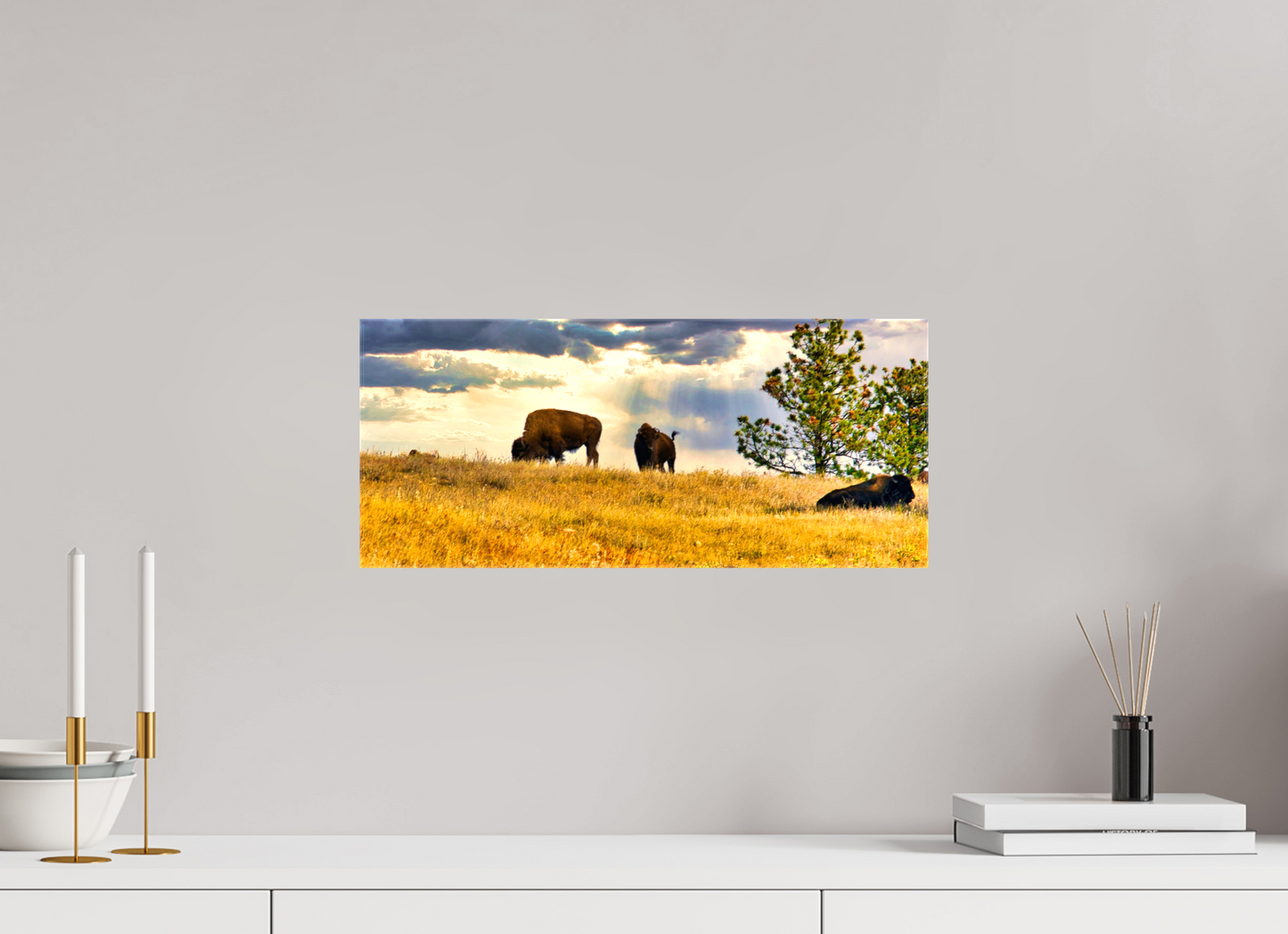 18.7 x 8″, Stretched Canvas Buffalo of Custer