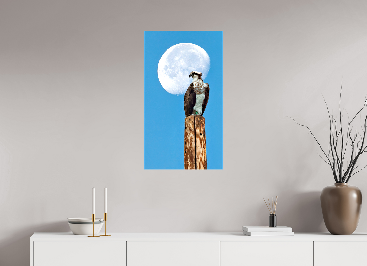 18 x 32″, Stretched Canvas Moon Osprey