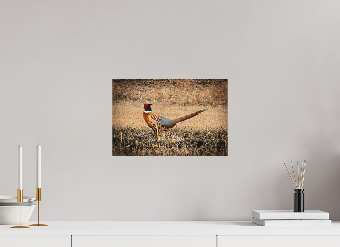 15 x 10″, Wood Print The Pheasant