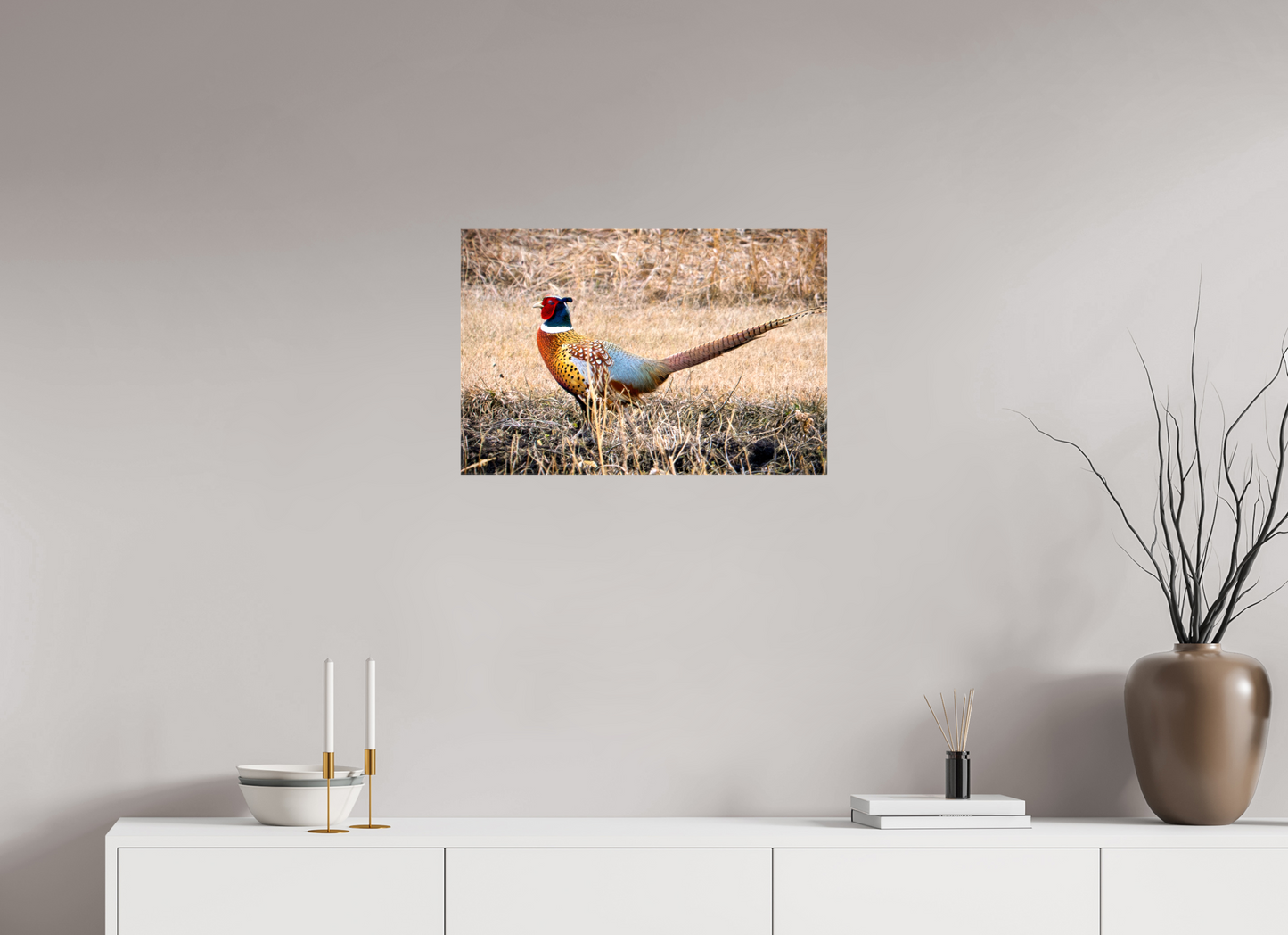 24 x 16″, Stretched Canvas The Pheasant