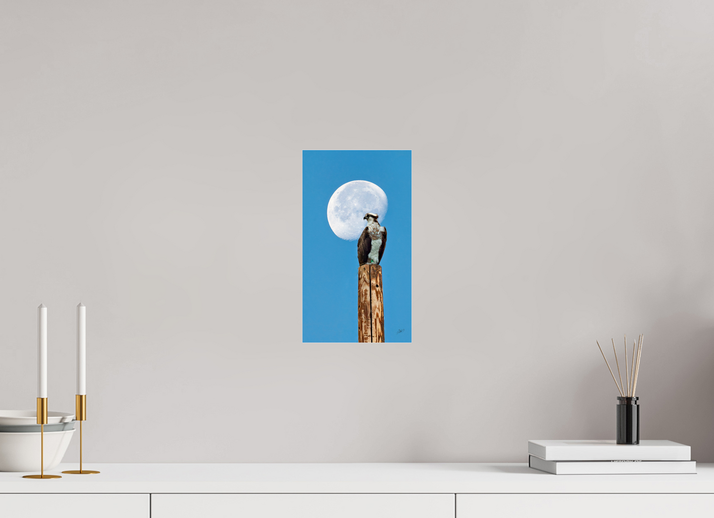 6.8 x 12″, Photo Print Under Acrylic Glass Moon Osprey Metal Acrylic Glass