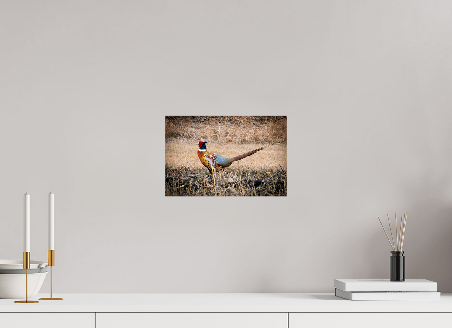 12 x 8″, Photo Print On Fuji Crystal DP II The Pheasant