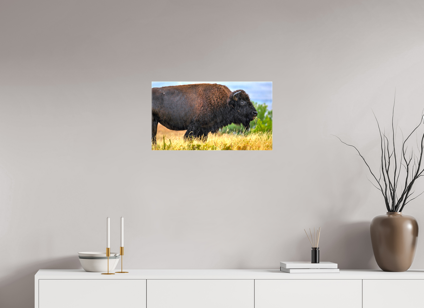 24 x 13.5″, Stretched Canvas Medora Bison in Rain Metal Acrylic Glass
