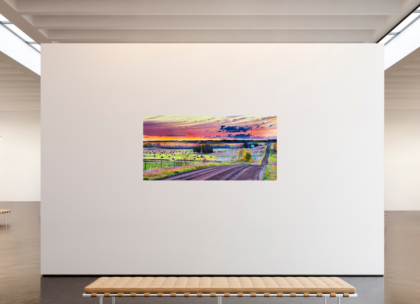80.4 x 39″, Photo Print Under Acrylic Glass Sunrise over Hay Harvest Aluminum Acrylic Glass