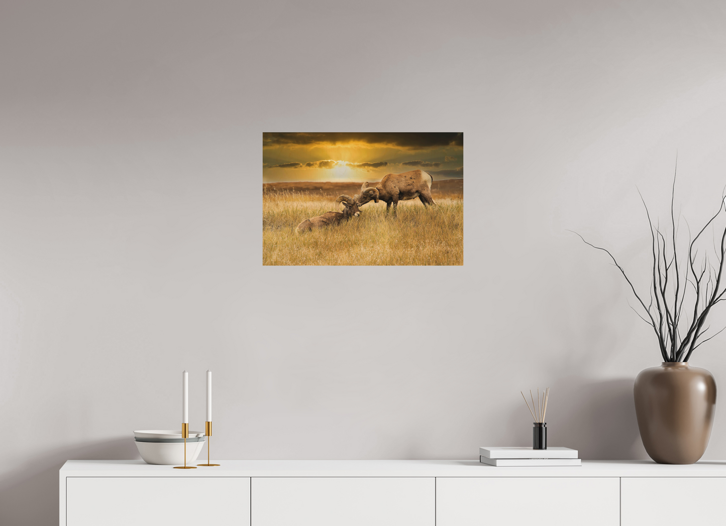 24 x 16″, Wood Print Badlands Sheep Kiss