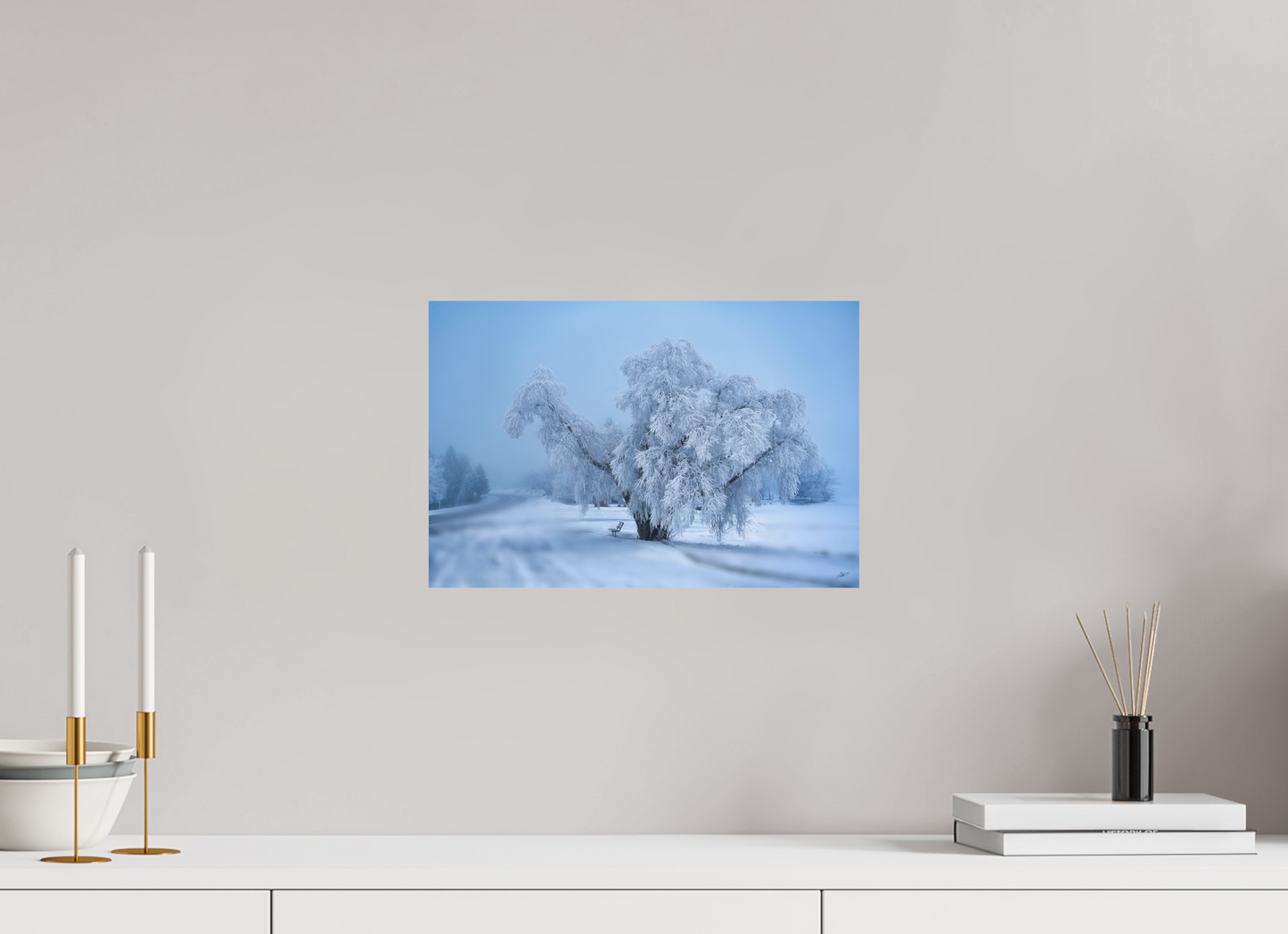 15 x 10″, Photo Print On Fuji Crystal DP II An Oak in Frost