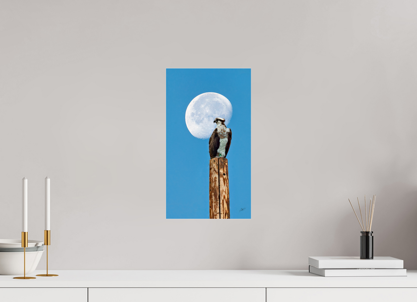 9 x 16″, Photo Print Under Acrylic Glass Moon Osprey Metal Acrylic Glass