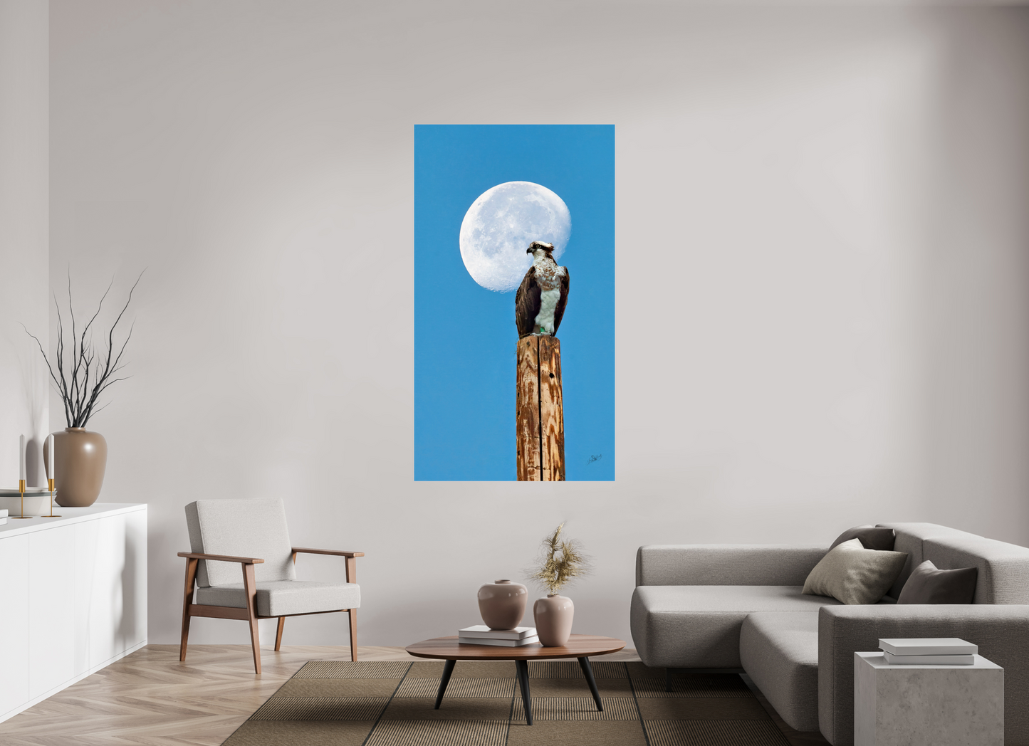 39.4 x 70″, Photo Print Under Acrylic Glass Moon Osprey Metal Acrylic Glass