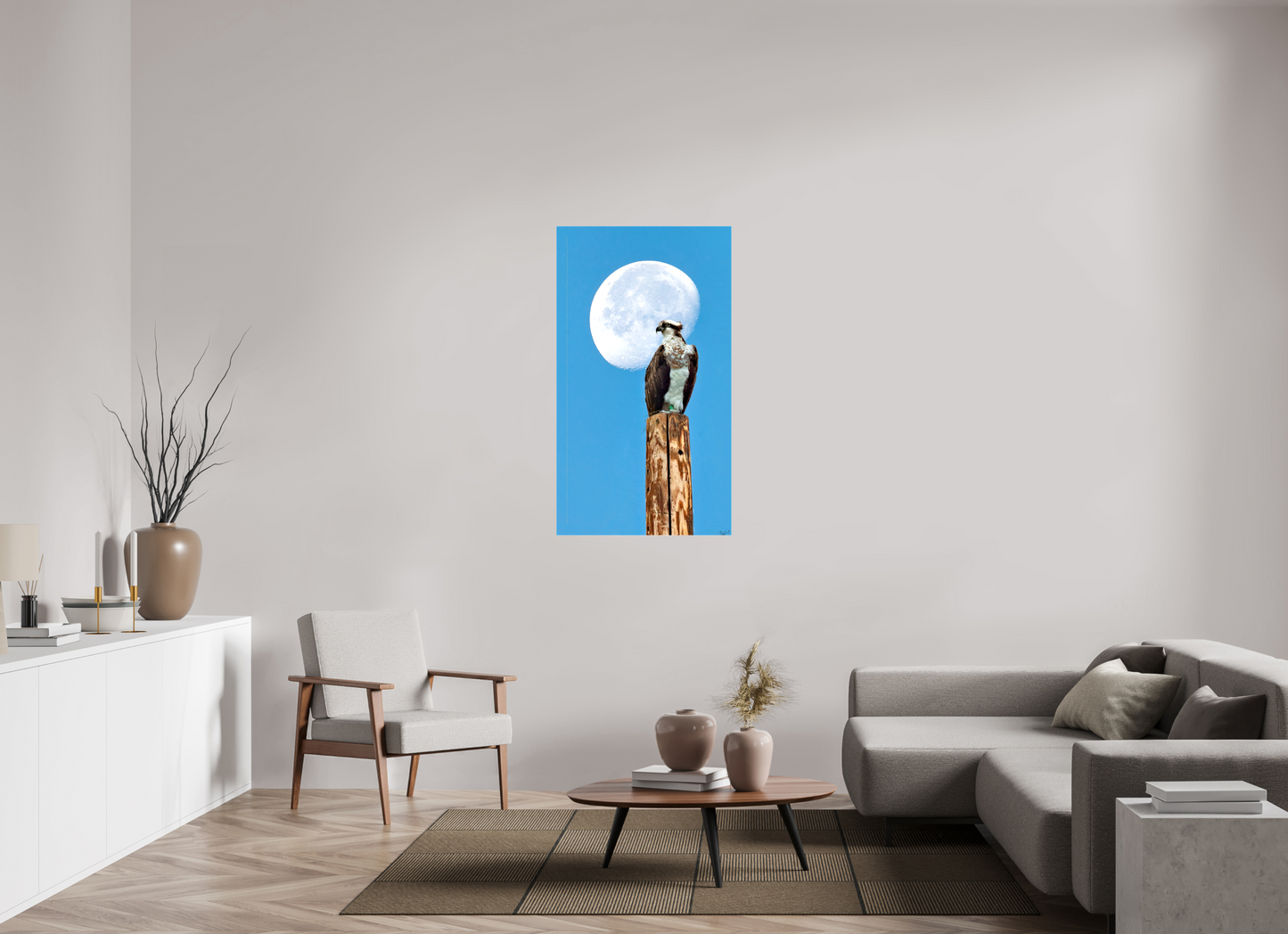 27.6 x 49″, Stretched Canvas Moon Osprey