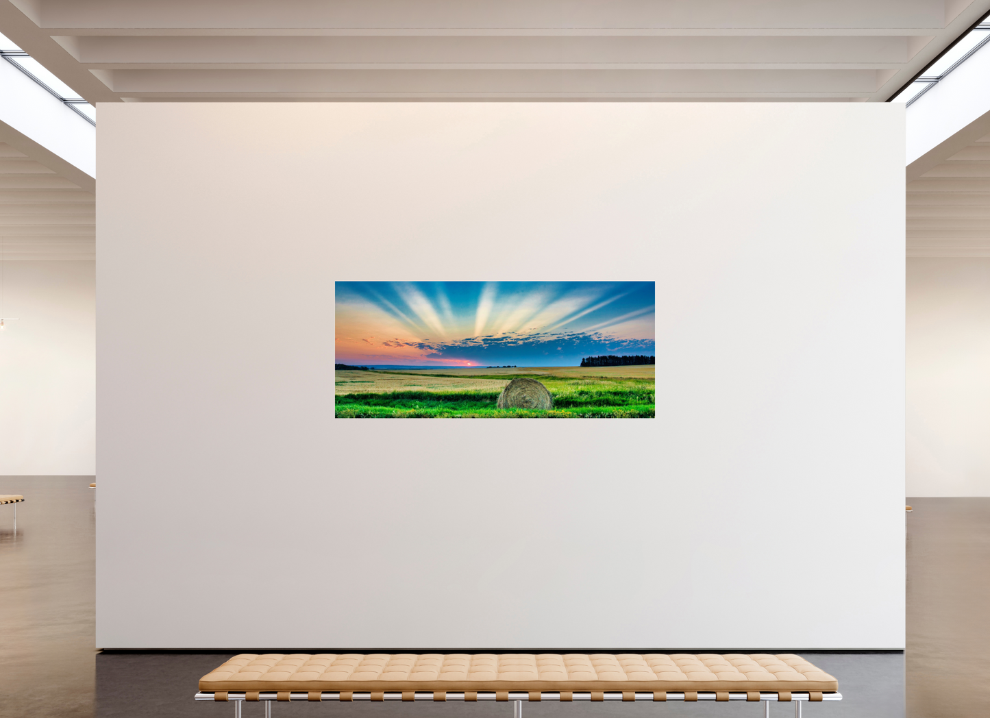 81.7 x 35″, Photo Print Under Acrylic Glass Good Morning Sunshine - Metal Acrylic Glass