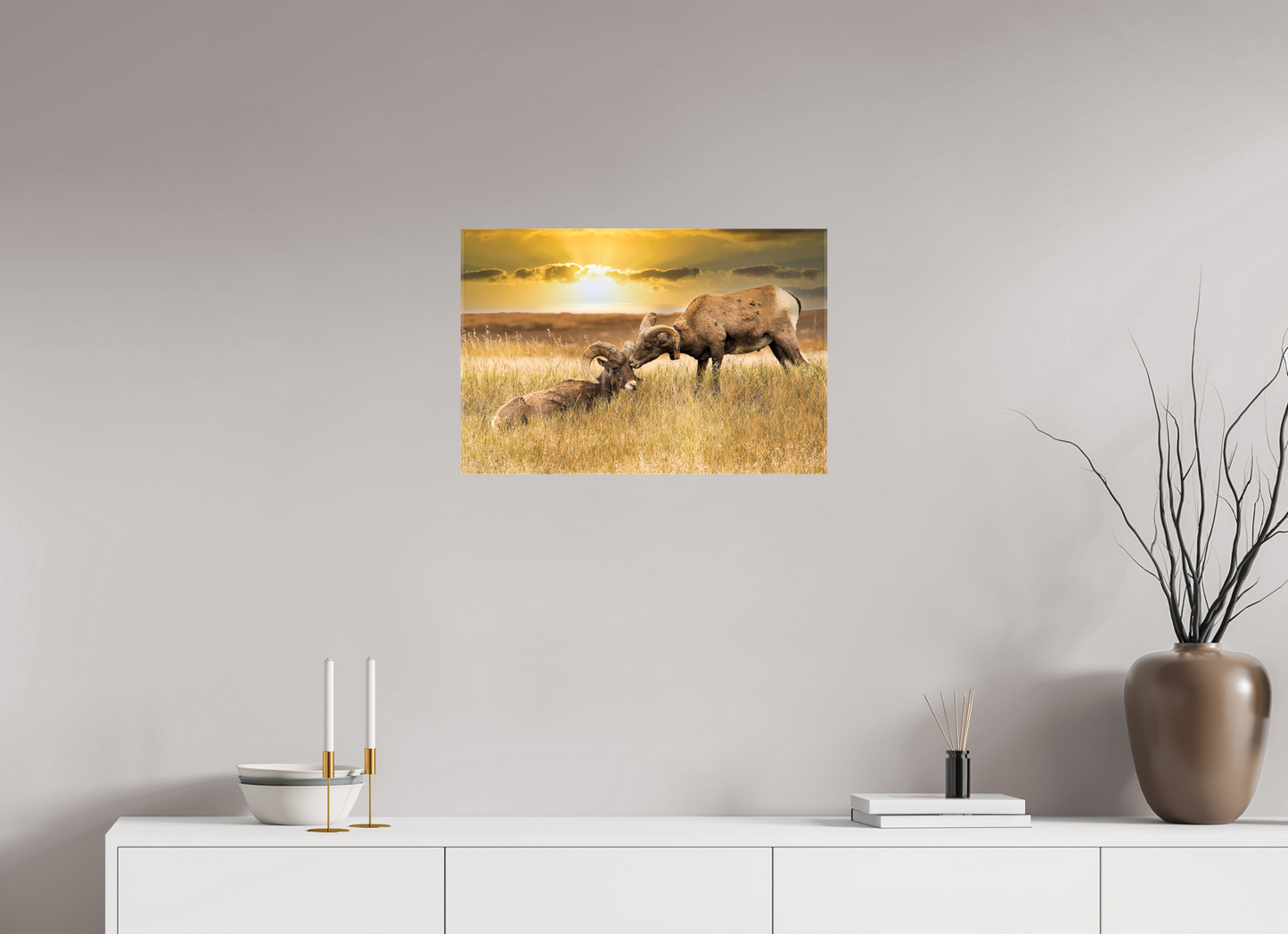 24 x 16″, Stretched Canvas Badlands Sheep Kiss