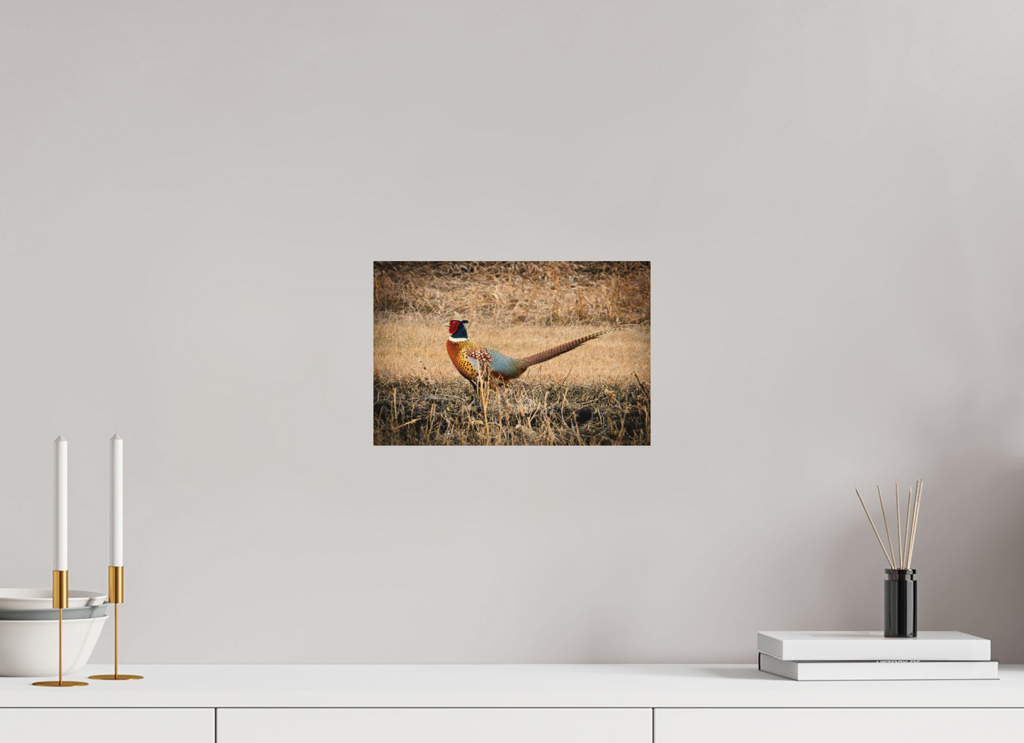 12 x 8″, Wood Print The Pheasant