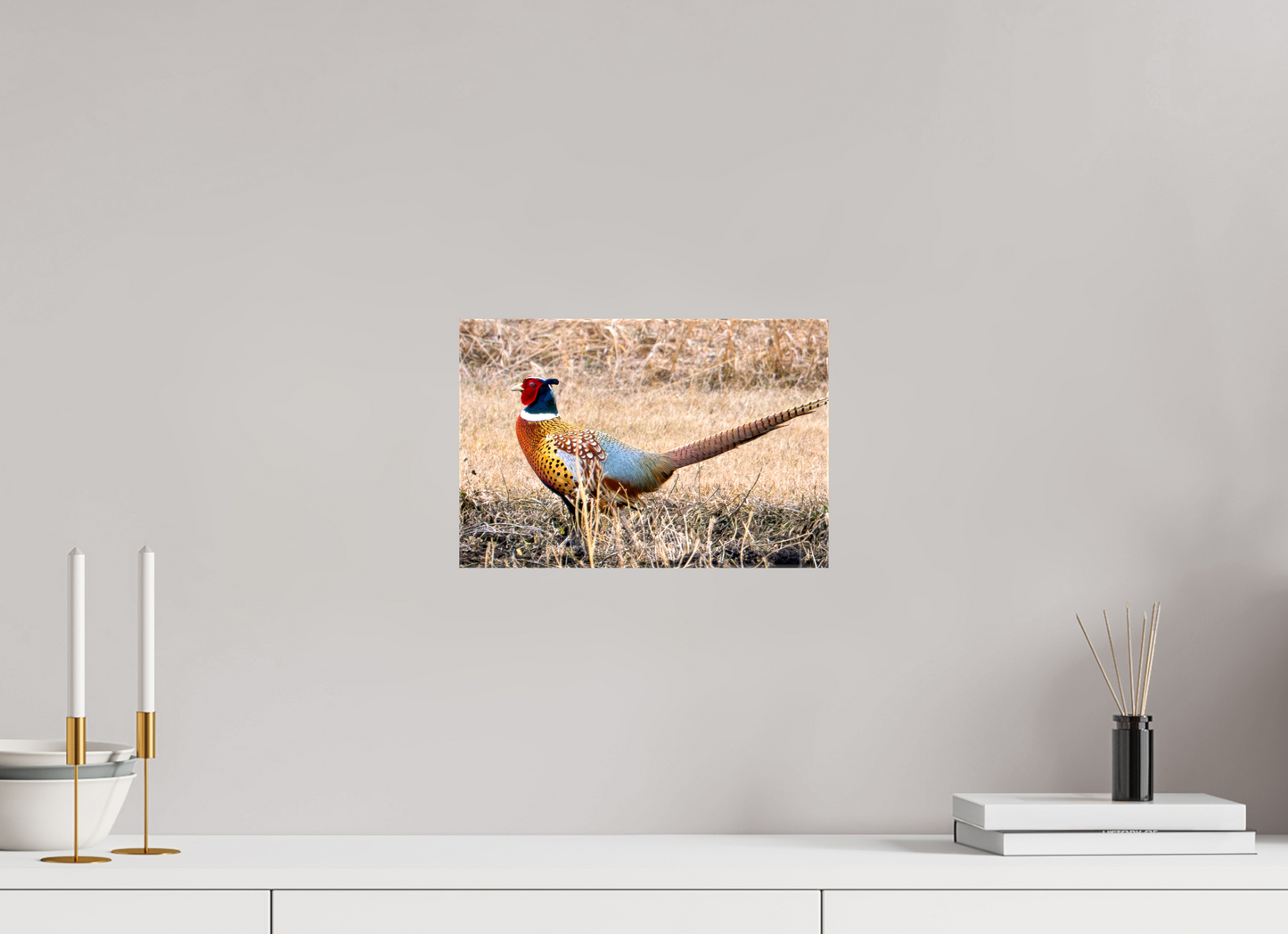 12 x 8″, Stretched Canvas The Pheasant