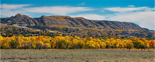 Main image Badlands in Fall - Metal Acrylic Glass