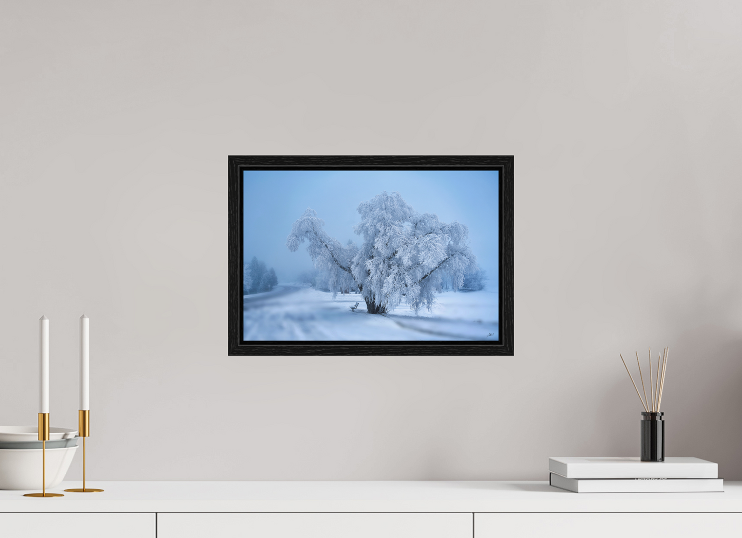 15 x 10″, Floater Frame An Oak in Frost