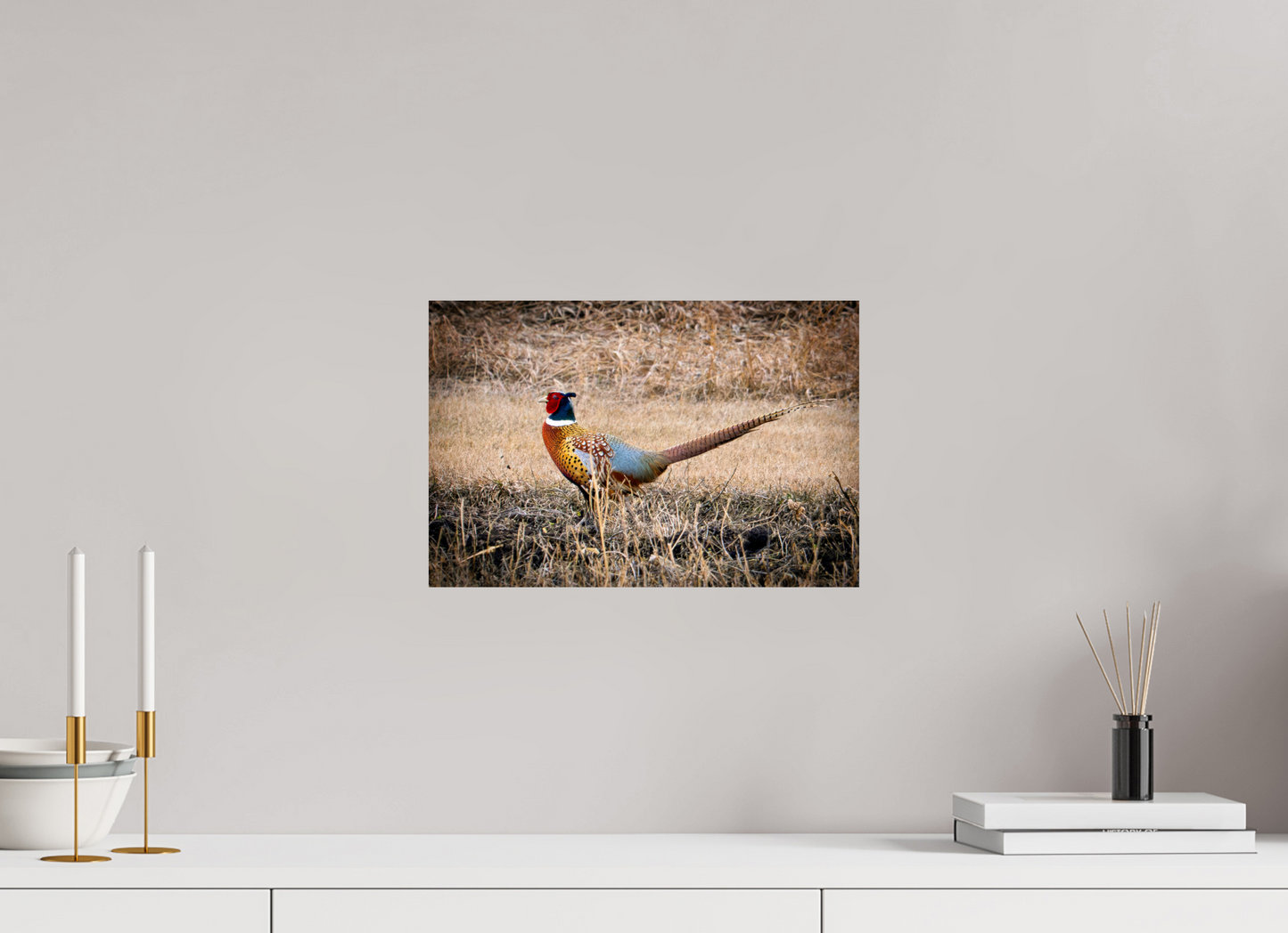 15 x 10″, Photo Print On Fuji Crystal DP II The Pheasant