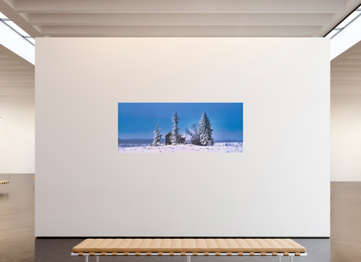 87.5 x 35″, Photo Print Under Acrylic Glass Abandoned Dreams in Winter
