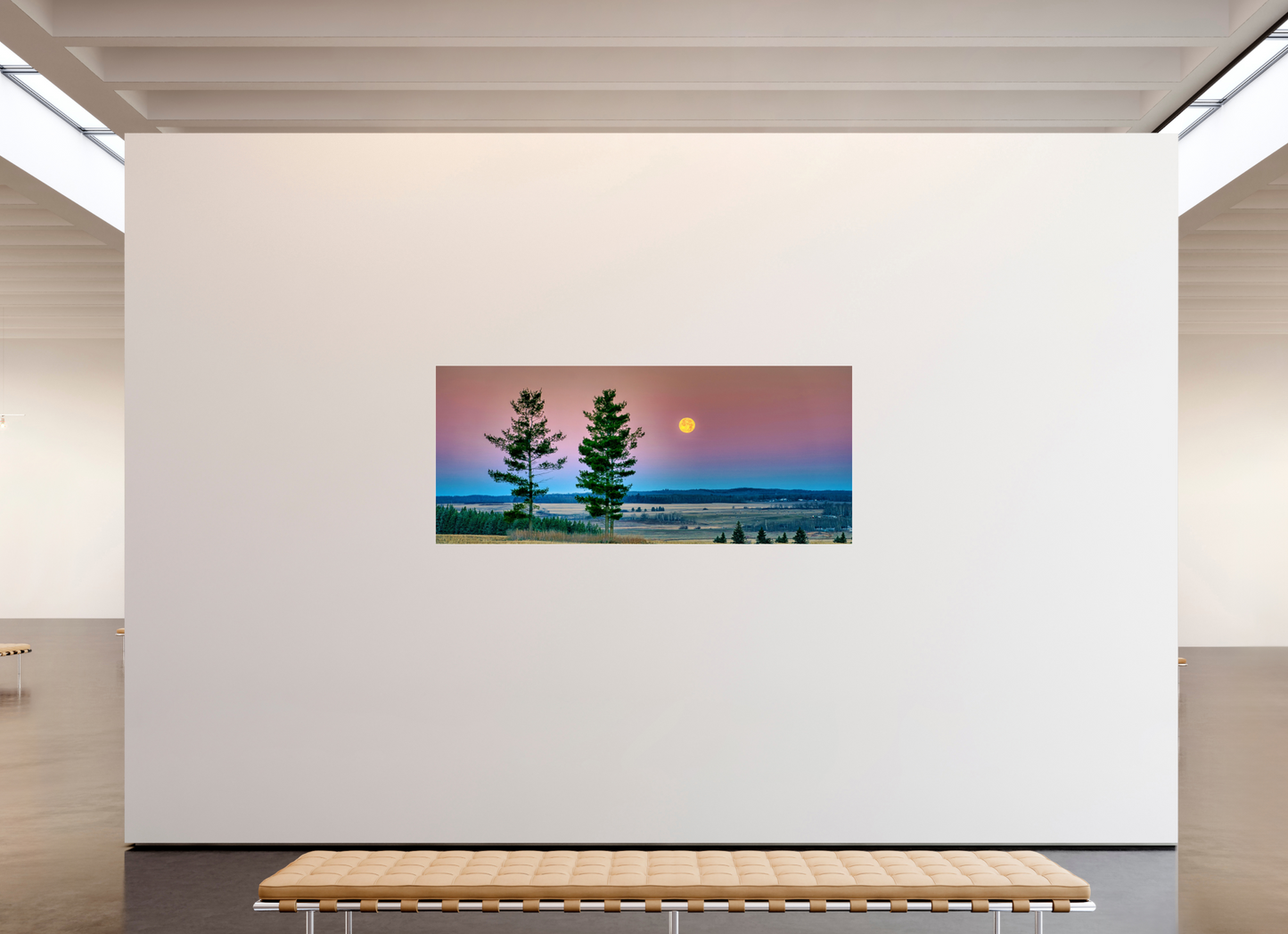 81.7 x 35″, Photo Print Under Acrylic Glass Morning Prairie Moon Metal Acrylic Glass