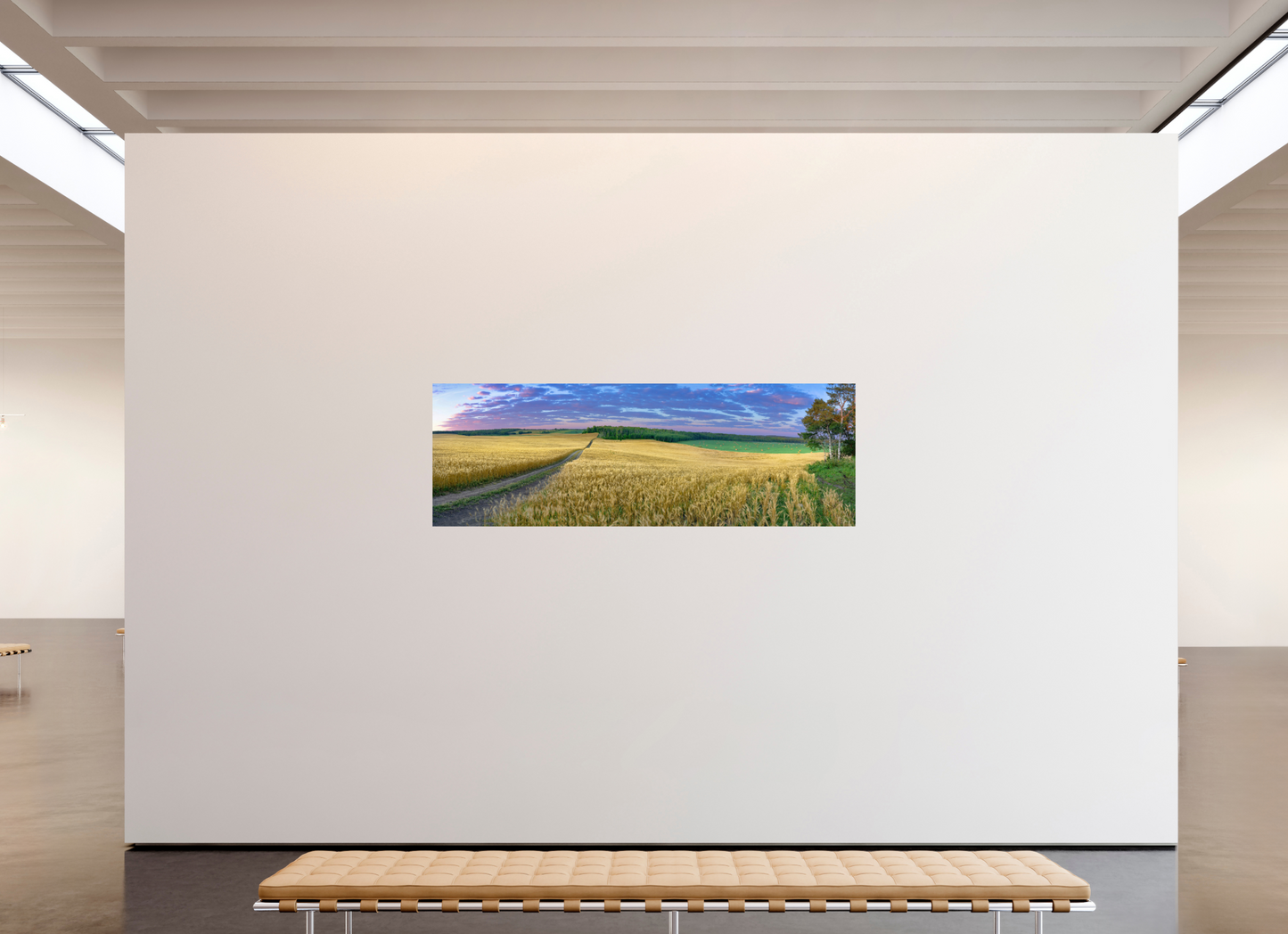 82.9 x 28″, Metal Prints Paradise Valley
