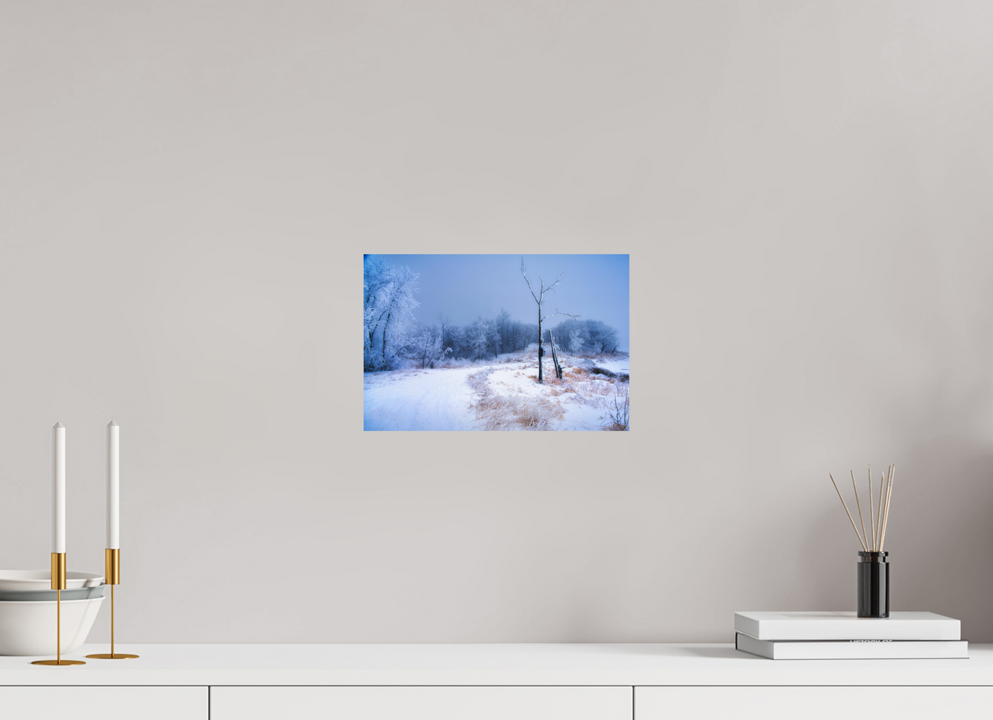 12 x 8″, Photo Print On Fuji Crystal DP II Birds Nest in Winter