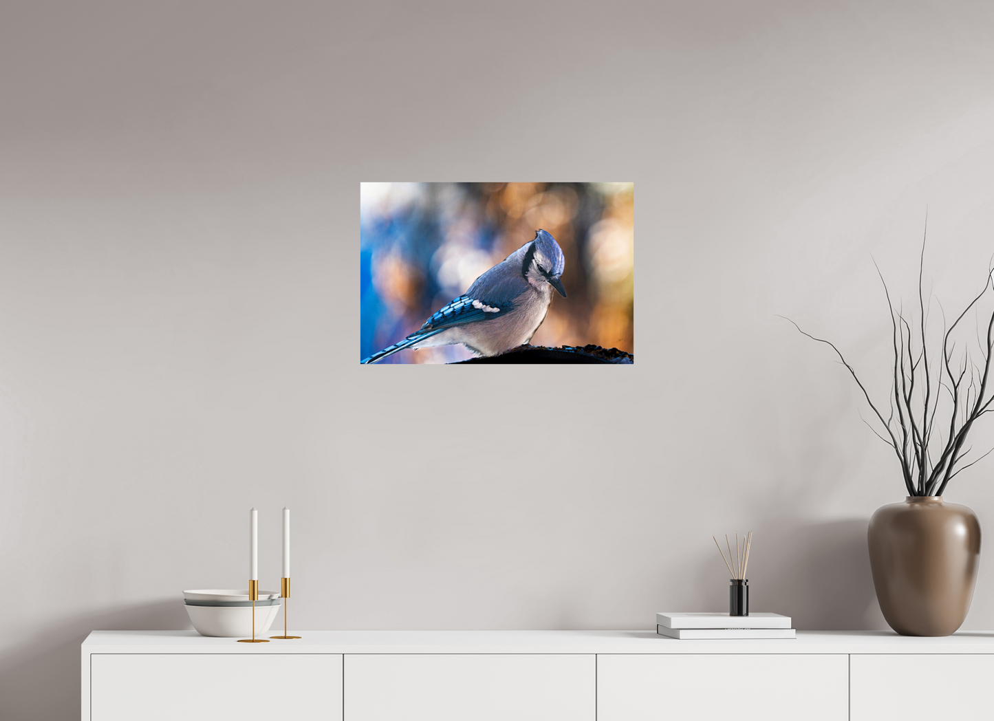 24 x 16″, Photo Print On Fuji Crystal DP II Blue Jay