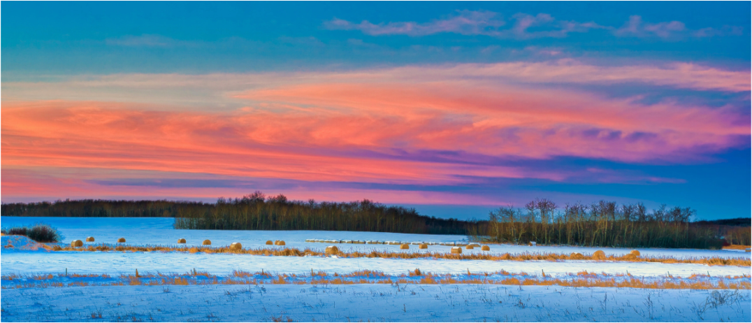 Main image Hay Bales on Winter Morn Metal Acrylic Glass
