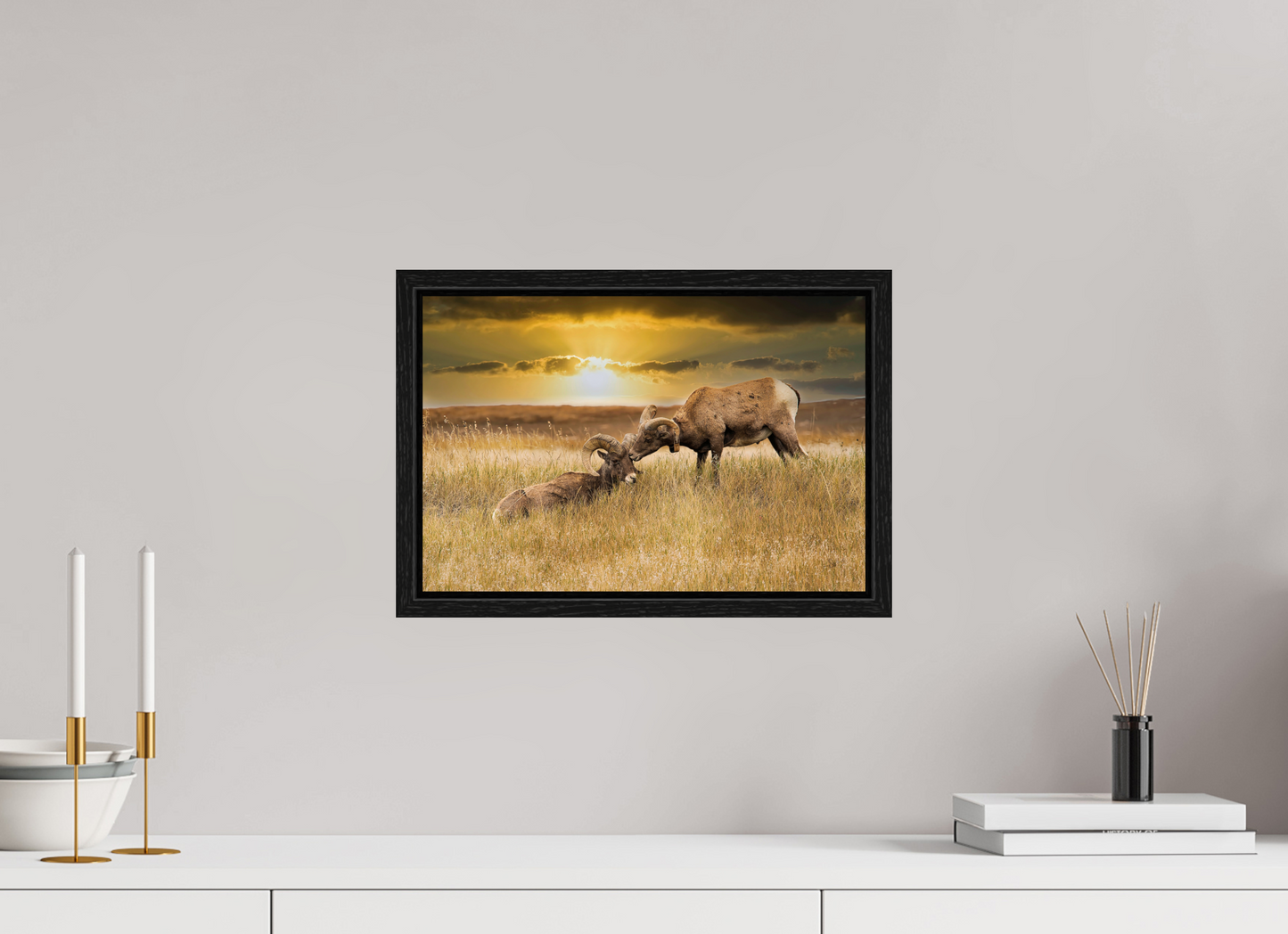 15 x 10″, Floater Frame Badlands Sheep Kiss