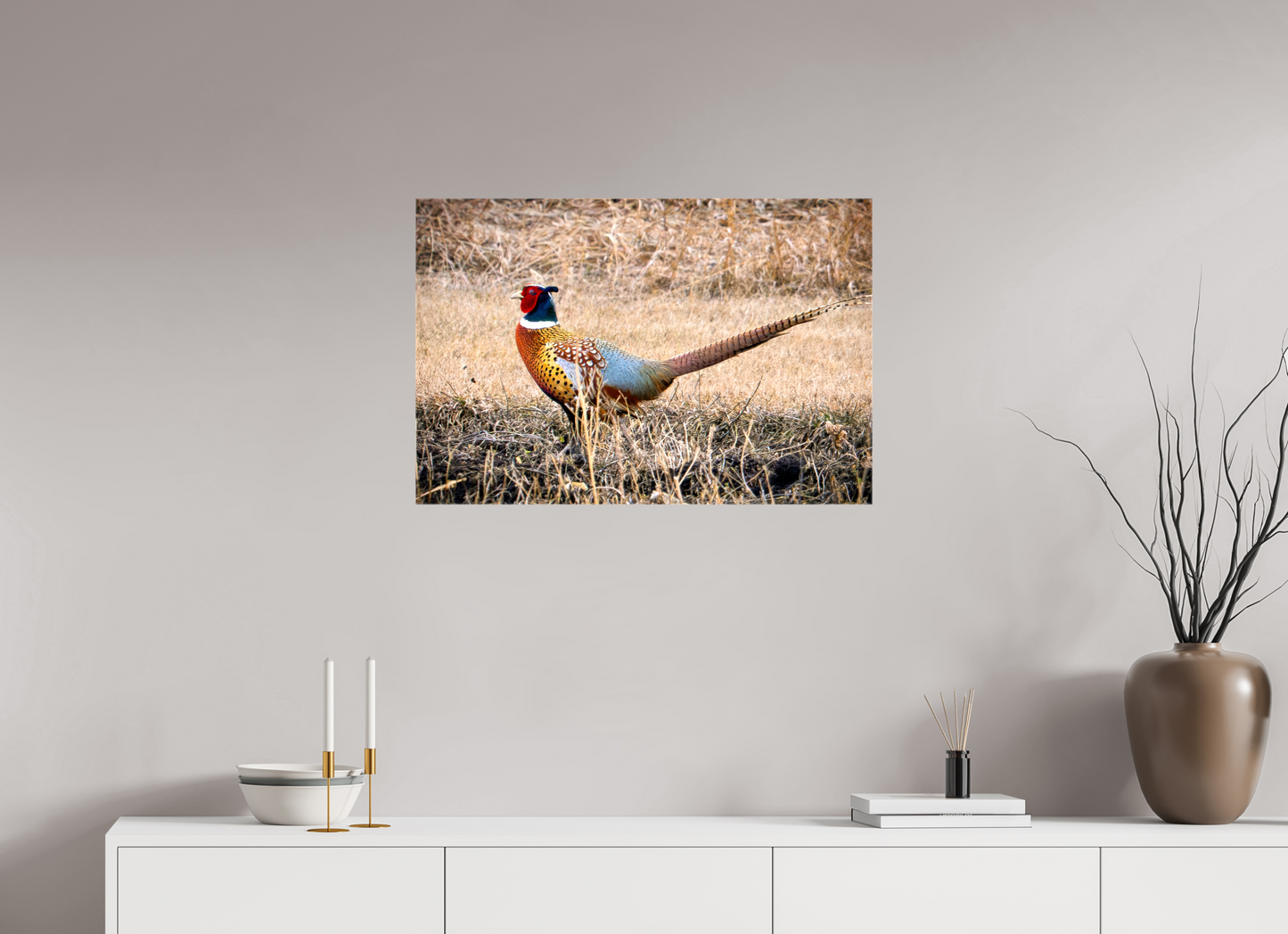 30 x 20″, Stretched Canvas The Pheasant