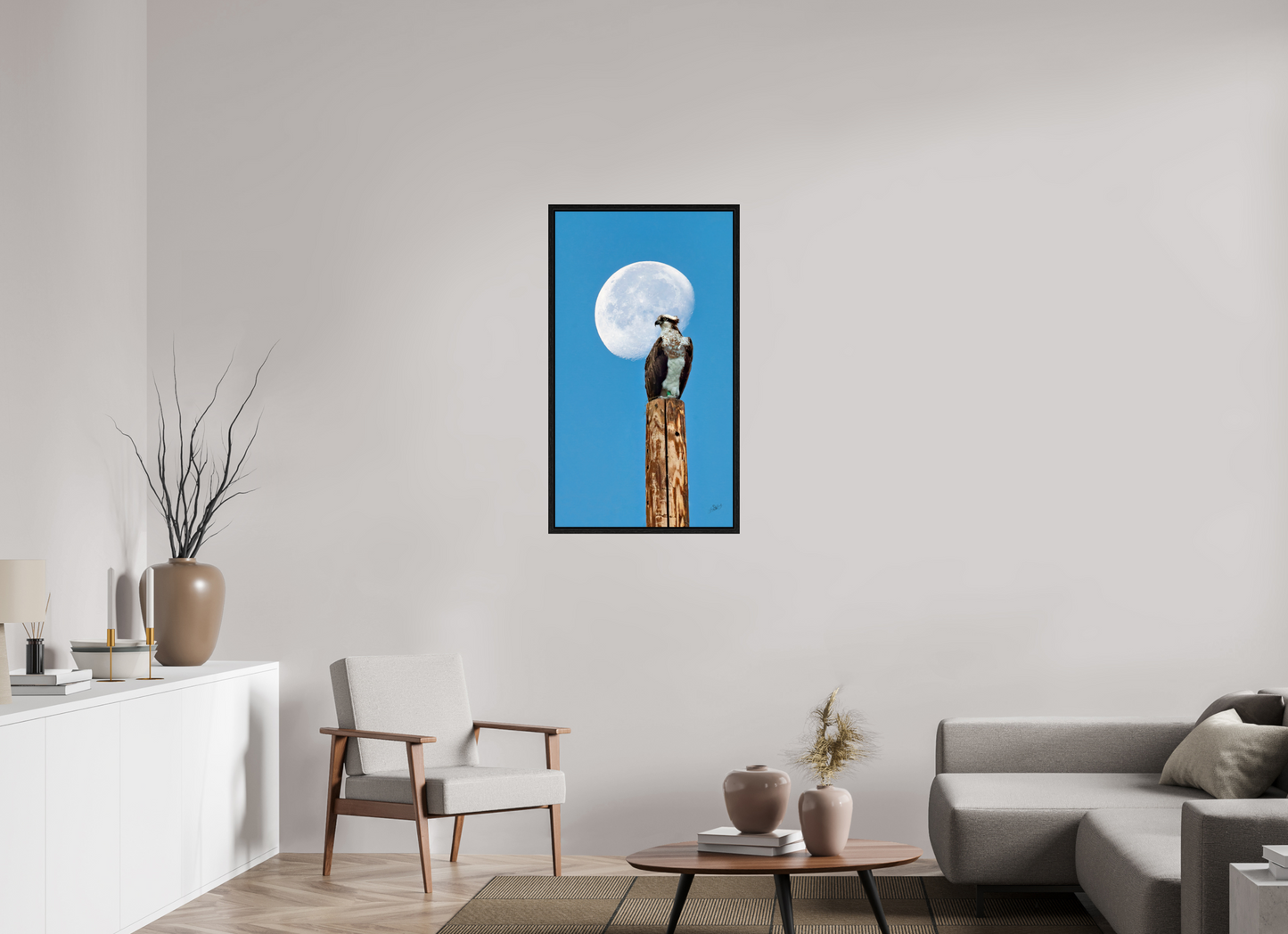 22.5 x 40″, Floater Frame Moon Osprey