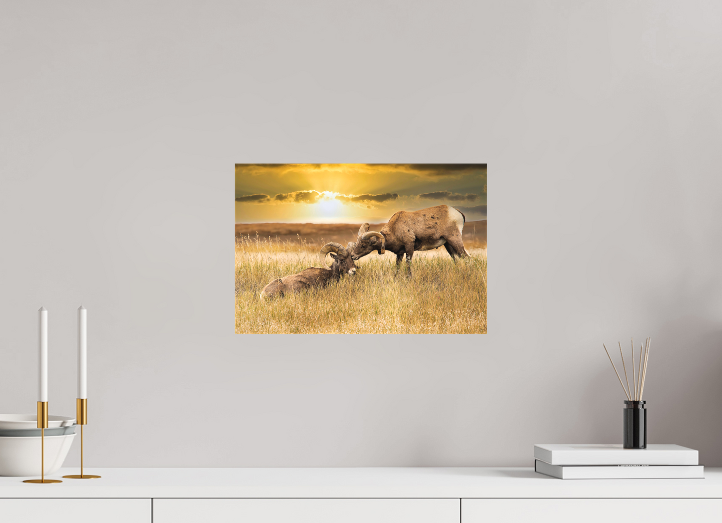 15 x 10″, Fine Textile Canvas Badlands Sheep Kiss