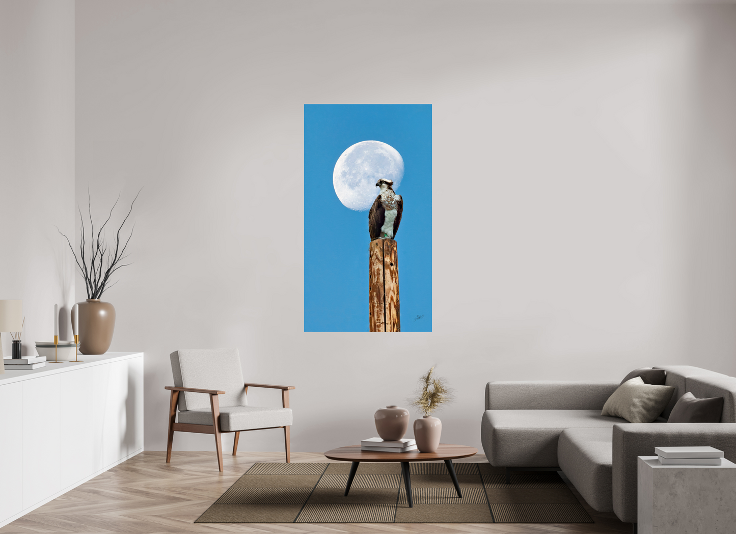 36 x 64″, Photo Print Under Acrylic Glass Moon Osprey Metal Acrylic Glass