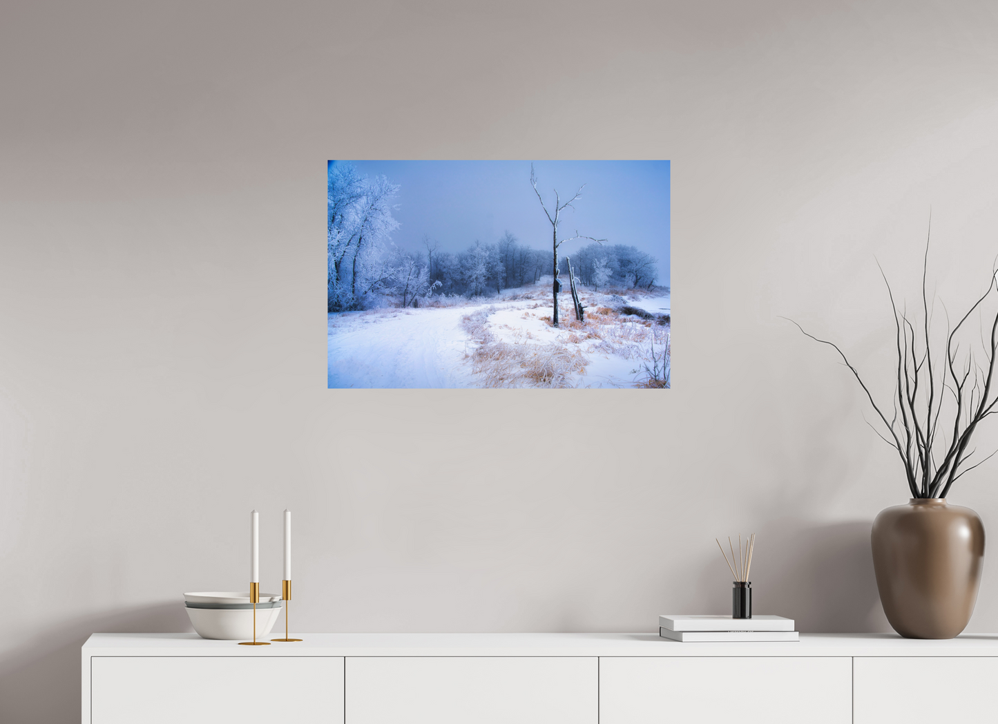 30 x 20″, Photo Print On Fuji Crystal DP II Birds Nest in Winter