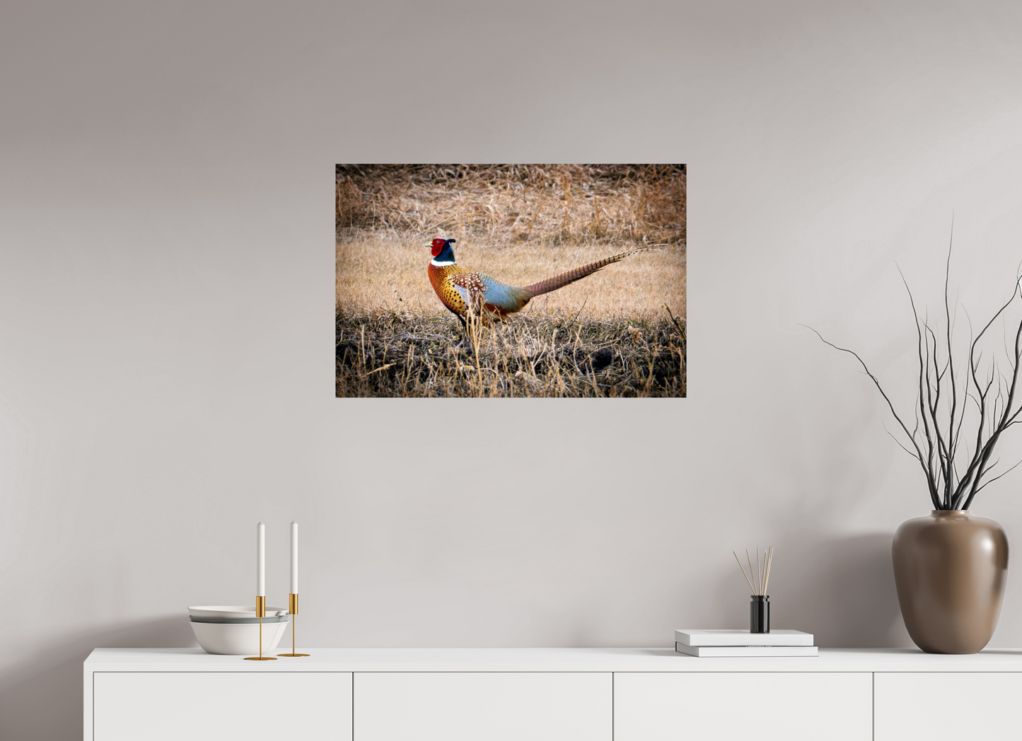 30 x 20″, Photo Print On Fuji Crystal DP II The Pheasant