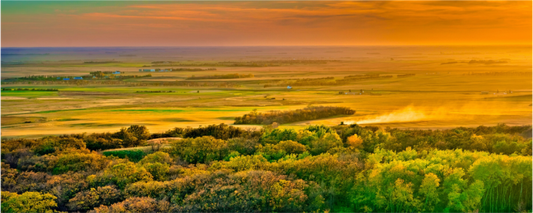 Main image Dakota Harvest Metal Acrylic Glass