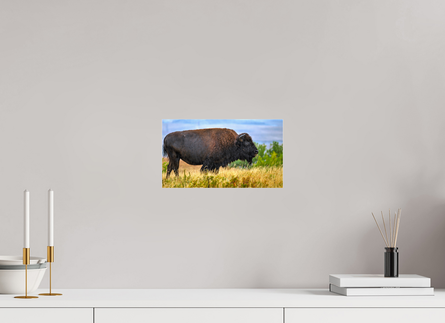 12 x 6.8″, Photo Print Under Acrylic Glass Medora Bison in Rain Metal Acrylic Glass