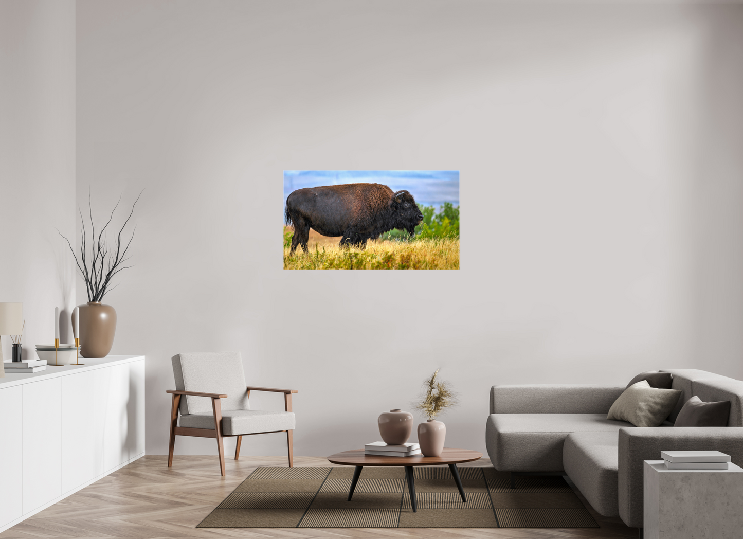 49 x 27.6″, Photo Print Under Acrylic Glass Medora Bison in Rain Metal Acrylic Glass