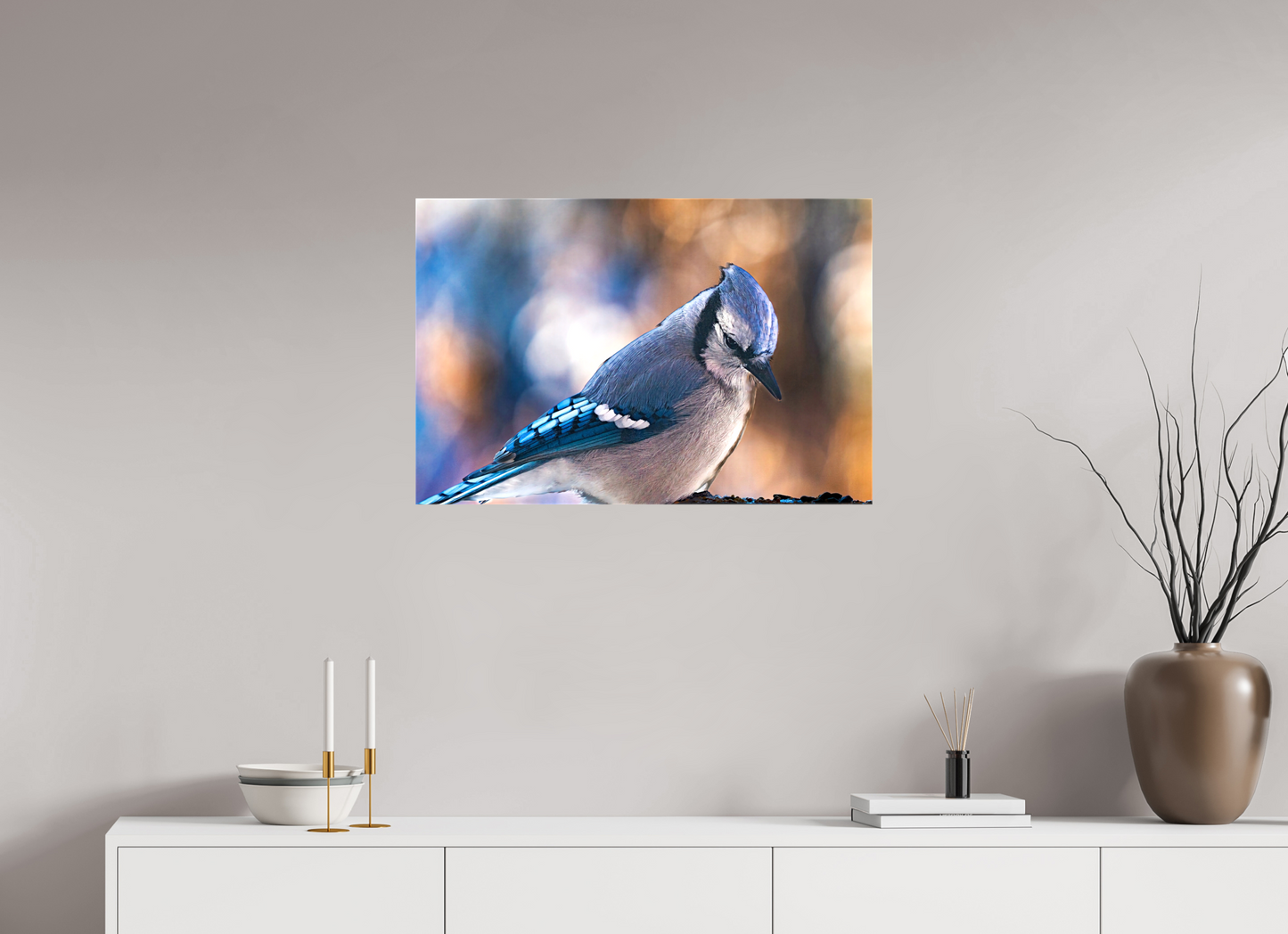 30 x 20″, Stretched Canvas Blue Jay