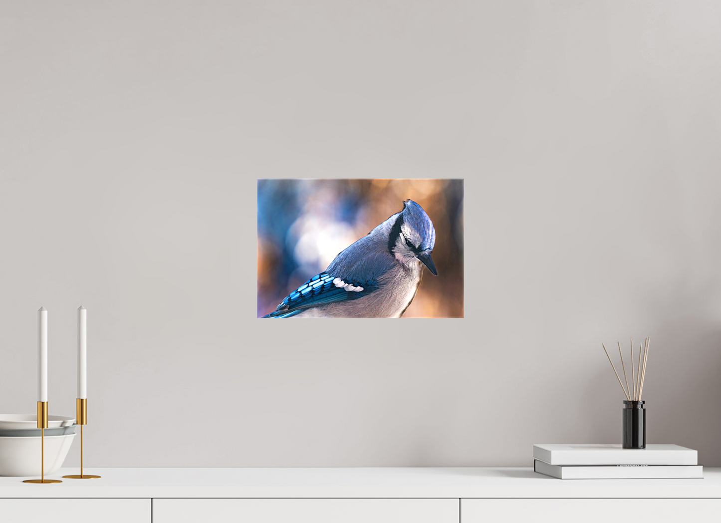 12 x 8″, Stretched Canvas Blue Jay