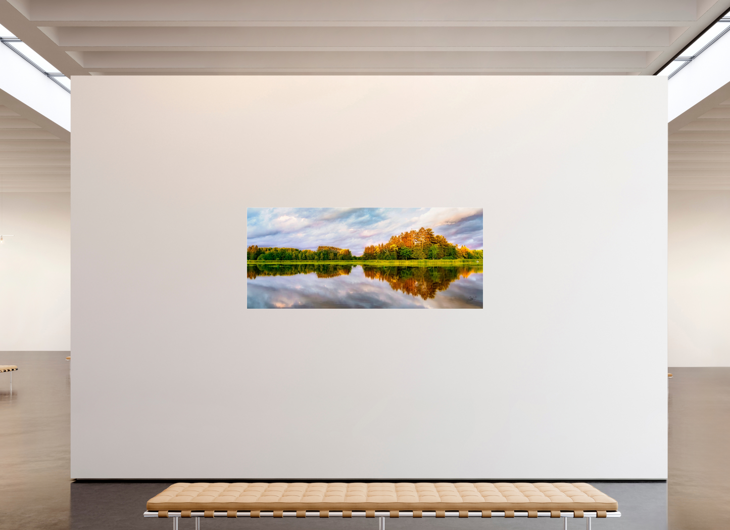 81.7 x 35″, Photo Print Under Acrylic Glass Lone Eagle Metal Acrylic Glass